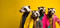 Badger in a group, vibrant bright fashionable outfits isolated on solid background advertisement