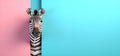 Zebra peeking over pastel bright background. advertisement, banner, card