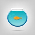Creative aquarium with a small goldfish Royalty Free Stock Photo