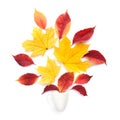 Creative arrangement autumn leaves and coffee cup on a white background. Royalty Free Stock Photo