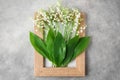 Creative arrangement made with spring lily of the valley flowers in wooden frame on gray concrete background. flat lay Royalty Free Stock Photo