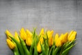 Creative arrangement of yellow tulips on gray rustic background for March 8, International Womens Day, Birthday , Valentines Day