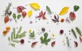Creative arrangment made of autumn leaves Royalty Free Stock Photo