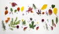 Creative arrangment made of autumn leaves Royalty Free Stock Photo