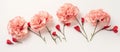 Row of pink carnations and red flowers on white background Royalty Free Stock Photo