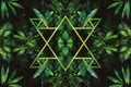 Creative arts merge with nature in a stunning design featuring water, green triangles, and tints on a black background. This