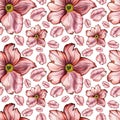 watercolor seamless pattern with pink wild dog rose flowers on a white background. Hand drawn ornament design for