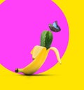 Creative artwork. Cactus in banana peel and beautiful butterfly on color background