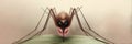 Illustration of a mosquito with exaggerated features. Royalty Free Stock Photo