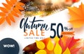 Creative autumn background with colorful leaves and brush stroke. Sale banner template Fall seasonal poster or card. Vector illust Royalty Free Stock Photo