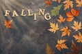 Creative autumn layout, colorful autumn leaves on a dark abstract background and the text of wooden letters-falling. Overhead view