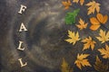 Creative autumn layout, colorful autumn leaves on a dark abstract background and the word of wooden letters-fall. Top view,copy