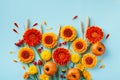 Creative autumn nature composition with orange and yellow gerbera flowers, decorative pumpkins, wheat ears. Thanksgiving day