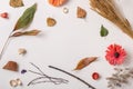 Creative autumn set with dry plants Royalty Free Stock Photo