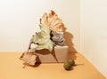 Creative autumnal composition with fallen leaves, plane tree fruit, box and tree bark. Minimal still life. Close-up Royalty Free Stock Photo