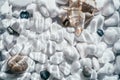 Creative background image of white black rounded smooth pebble stone and shells under transparent water with waves Royalty Free Stock Photo