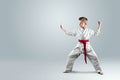 Creative background a child in a white kimono in a fighting stance, on a light background The concept of martial arts Royalty Free Stock Photo