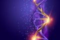 Creative background, dna structure, golden DNA molecule on violet background, ultraviolet. 3d render, 3d illustration. The concept Royalty Free Stock Photo