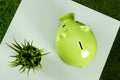 Creative background, green pig money box on gray background top view, flat lay. The concept of saving money, savings, pig piggy, Royalty Free Stock Photo