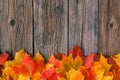 Creative background woth maple leaves Royalty Free Stock Photo