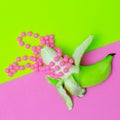 Creative Bananas Minimal flat lay art. Vegan concept Royalty Free Stock Photo