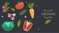 Creative banner with fresh vegetables. Trendy flat doodle template. Tomato, mushrooms, cabbage, pepper, carrot, radish and greens.