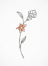 Hand drawn flower outline painting in Persian style