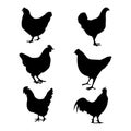 Creative-beautifull-hen-silhouette-vector-art. Royalty Free Stock Photo