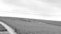 Creative black and white shot of sloping meadow in Stellenbosch. Powerlines hanging overhead.