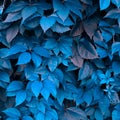 Creative blue colored layout made of leaves with copy space