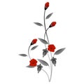 Creative bouquet of red roses on a white background.