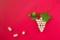 Creative bunch of grapes made of cork Royalty Free Stock Photo