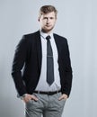 Creative business man stands with his hands in his pockets.isolated on grey background Royalty Free Stock Photo