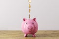 Creative ceramic pink piggy bank with golden coins on wooden desk and white wall background. Money safe and investment concept. Royalty Free Stock Photo