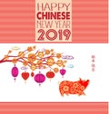 Creative chinese new year 2019. Year of the pig. Chinese characters mean Happy New Year