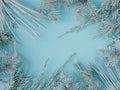 Creative christmas frame from white fir tree branches on pastel blue background with space for text. Royalty Free Stock Photo