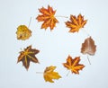 Creative circle of fallen autumn leaves on a white background. Top view, minimalism.