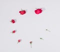 Creative circle of red roses on white background. Minimal flat lay