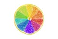 Creative Citrus Color Wheel Royalty Free Stock Photo