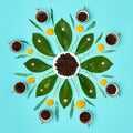 Creative coffee beans with flowers mandala pastel coloured art background. Good Morning Coffee floral setup.