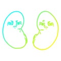 A creative cold gradient line drawing cartoon irritated kidneys