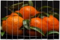Creative collage from 1 frame. Ripe orange tangerines with green leaves in plate on black , top view. Low key. Concept Royalty Free Stock Photo