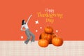 Creative collage of mini excited black white colors girl point finger happy thanksgiving day pile stack pumpkin isolated