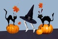 Creative collage picture of black cats stand pumpkin flying maple leaves mini black white colors legs running enchant