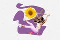 Creative collage picture cheerful excited funny caricature leopard cat mask ride skateboard fast hold sunflower purple