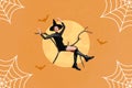 Creative collage picture of excited funky witch girl sit flying tree branch drawing bats spider web isolated on painted Royalty Free Stock Photo