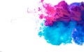 Creative color overflow concept of painting ink. An explosion of neon colors pink and blue on white background