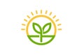 Sprout Leaf Circle Sun Logo