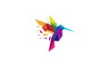 Creative Colorful Humming Bird Logo