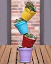 Creative colorful terrarium plant flowerpot Royalty Free Stock Photo